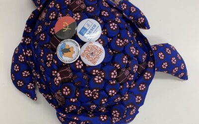 DES-PLASTIFIKA ZAITEZ!